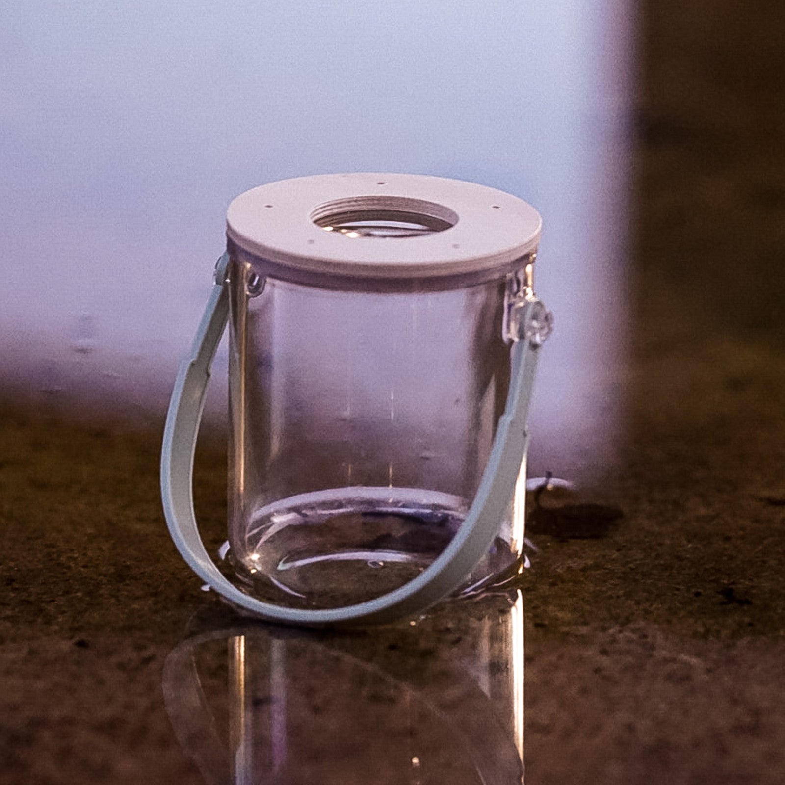 Verre à insectes avec loupe