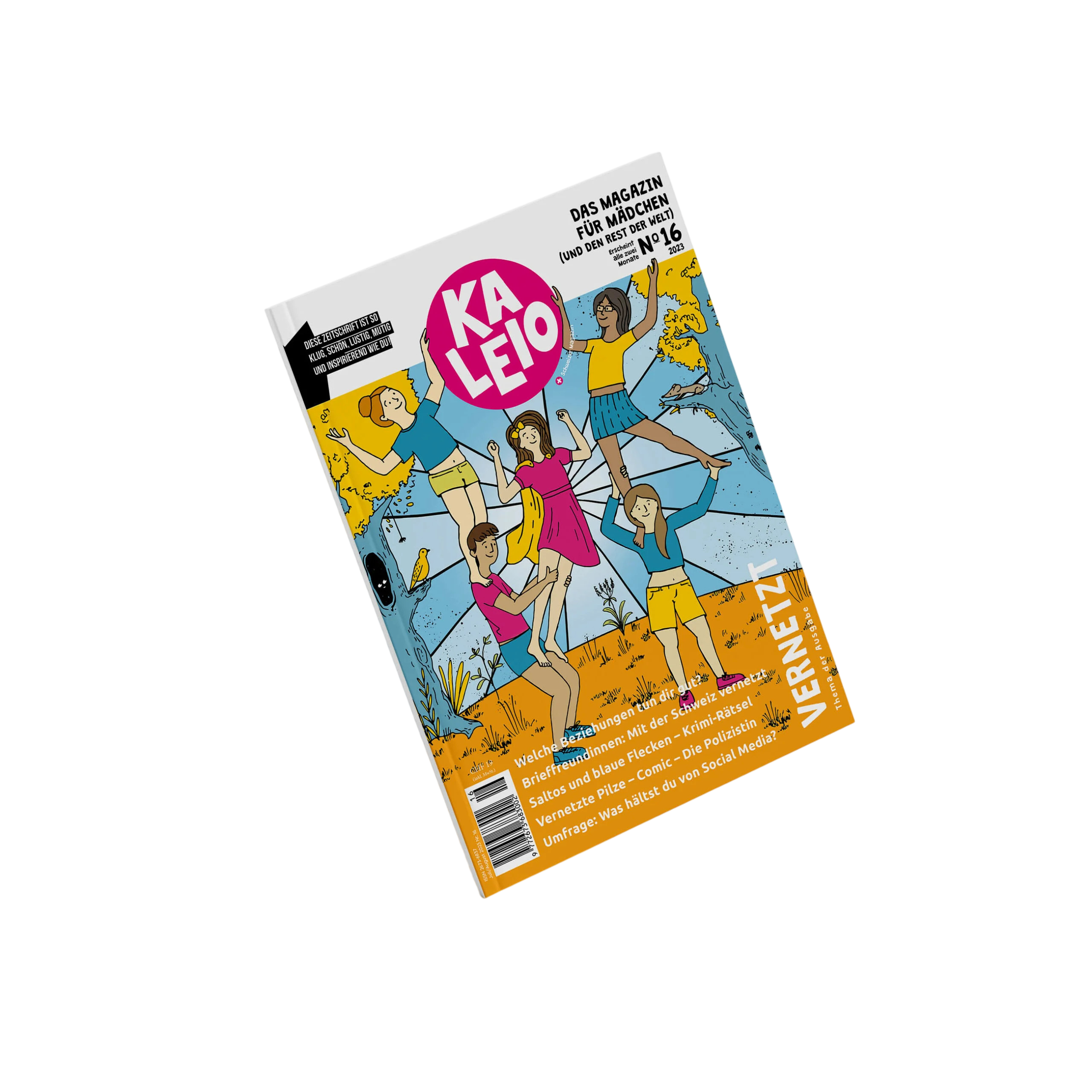 Kaleio Nr. 16 Vernetzt