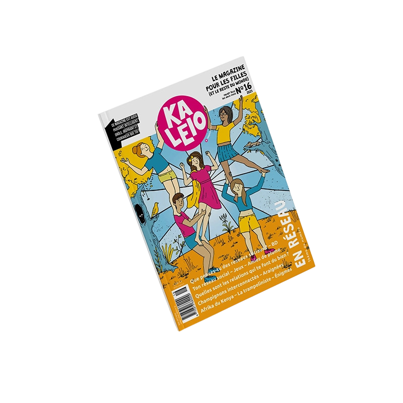Kaleio N°16 En réseau