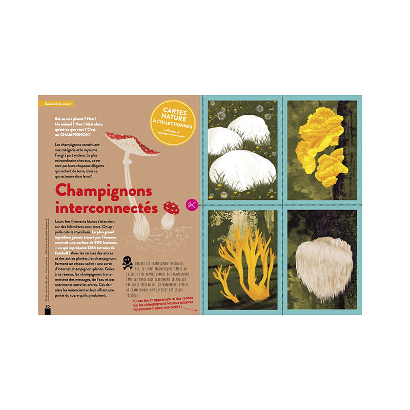 Kaleio N°16 En réseau