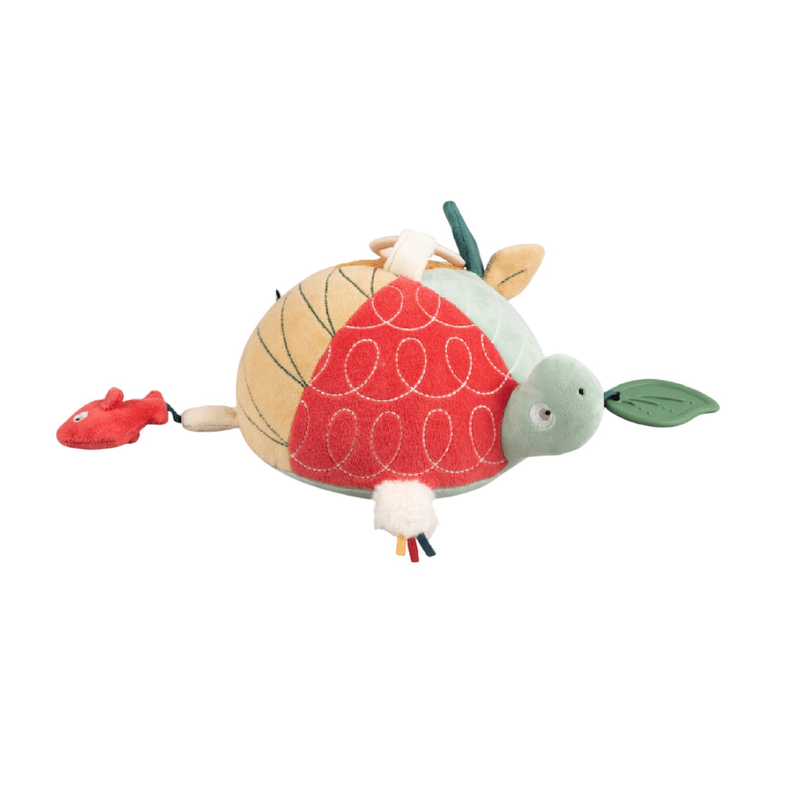 Aktivitätsspielzeug Schildkröte Turbo