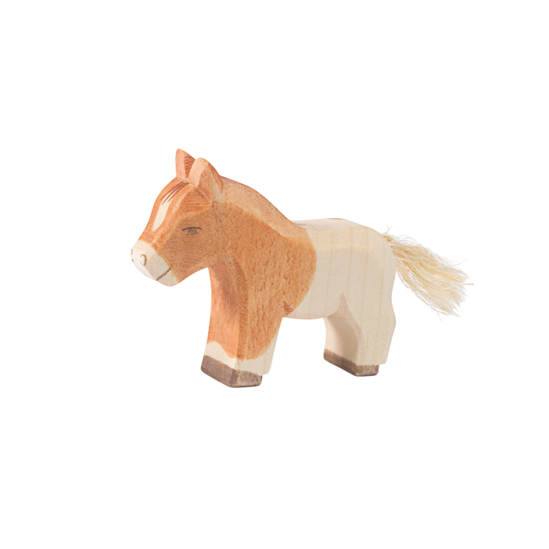 Ostheimer Shetland foal