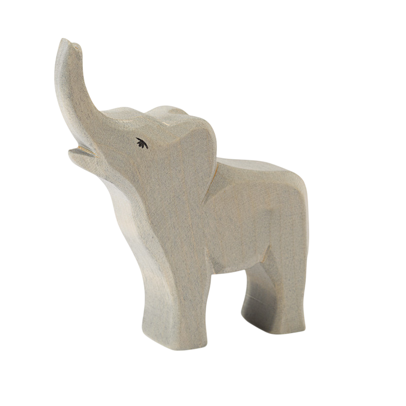 Ostheimer elephant small trumpeting