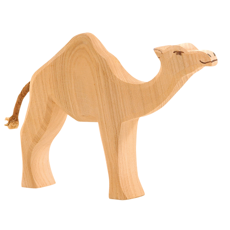 Ostheimer Dromedary