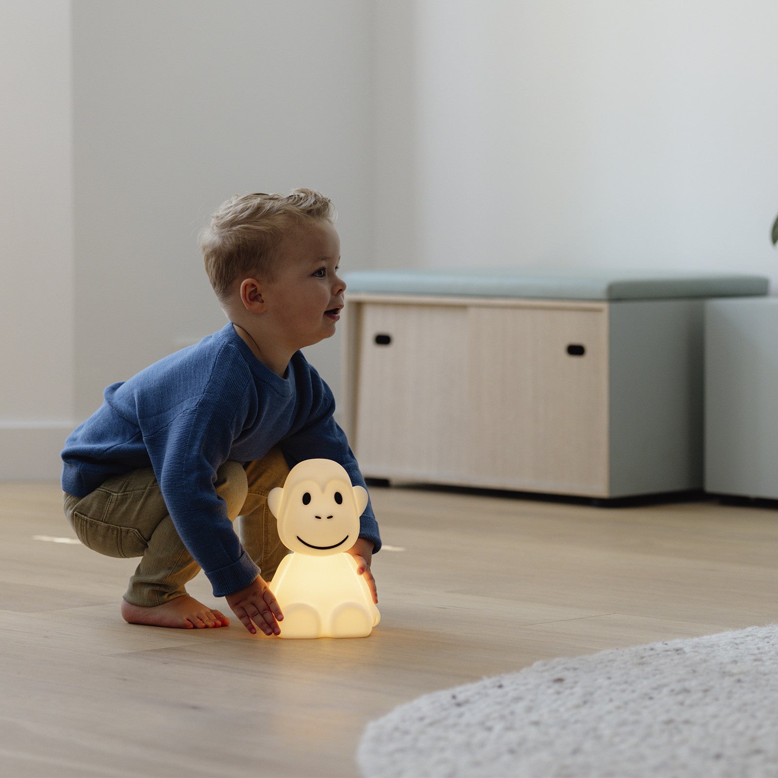 Lamp Monkey First Light