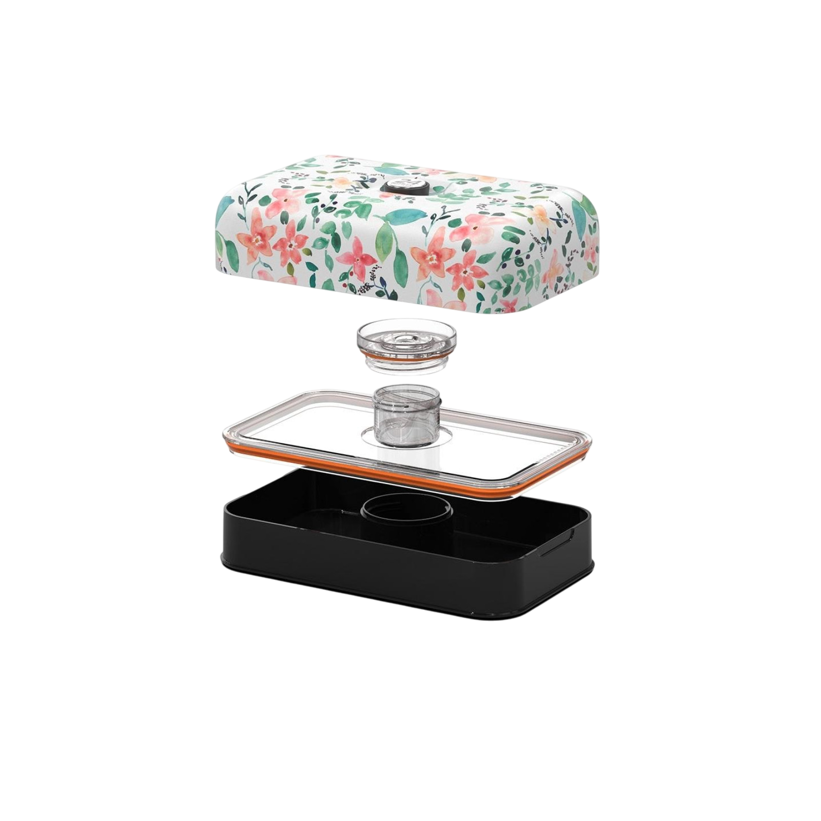 Lunchbox Little Buds