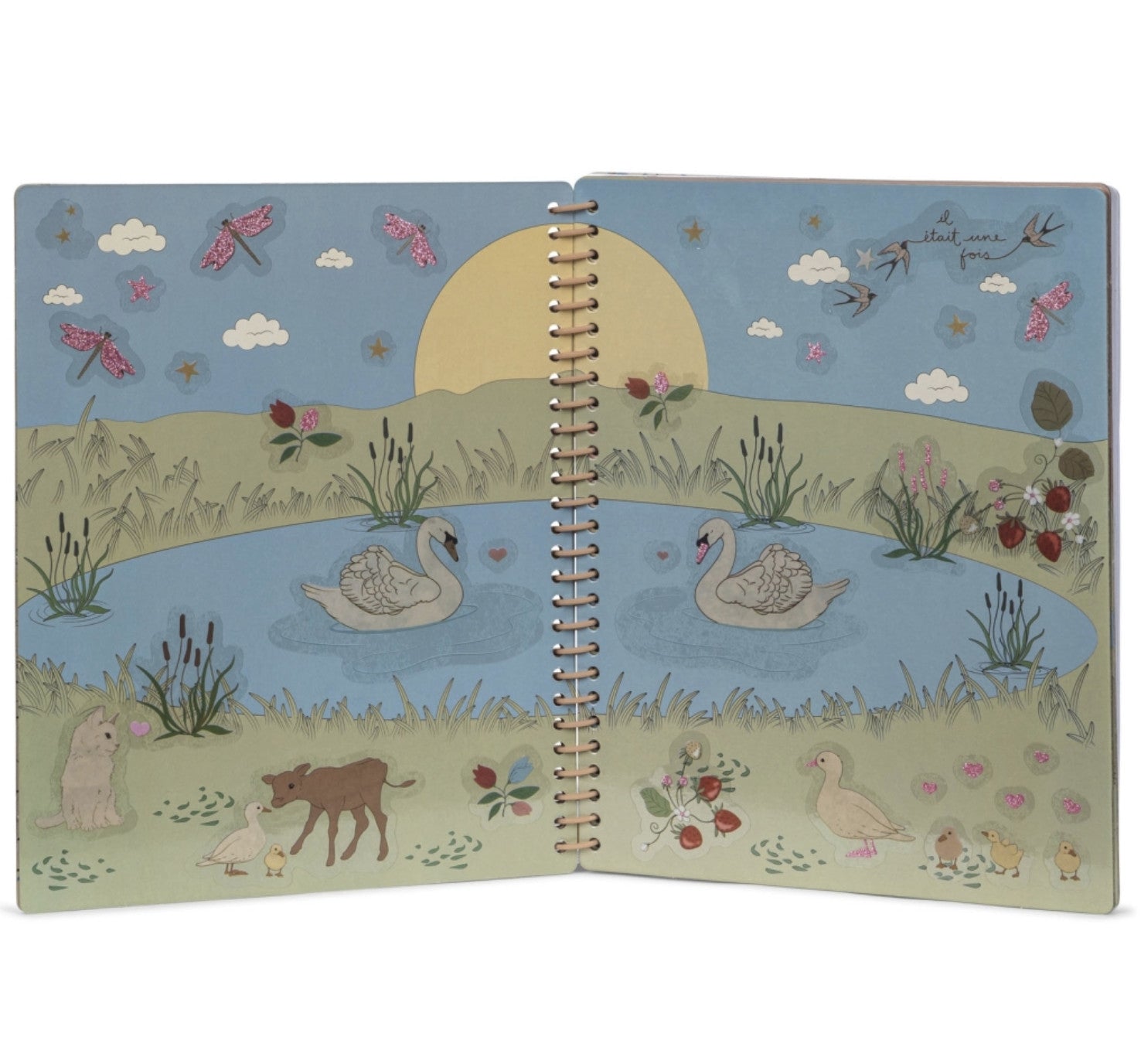 Livre d'autocollants Blush