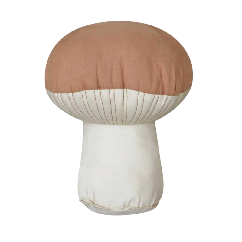 Boletus cushion