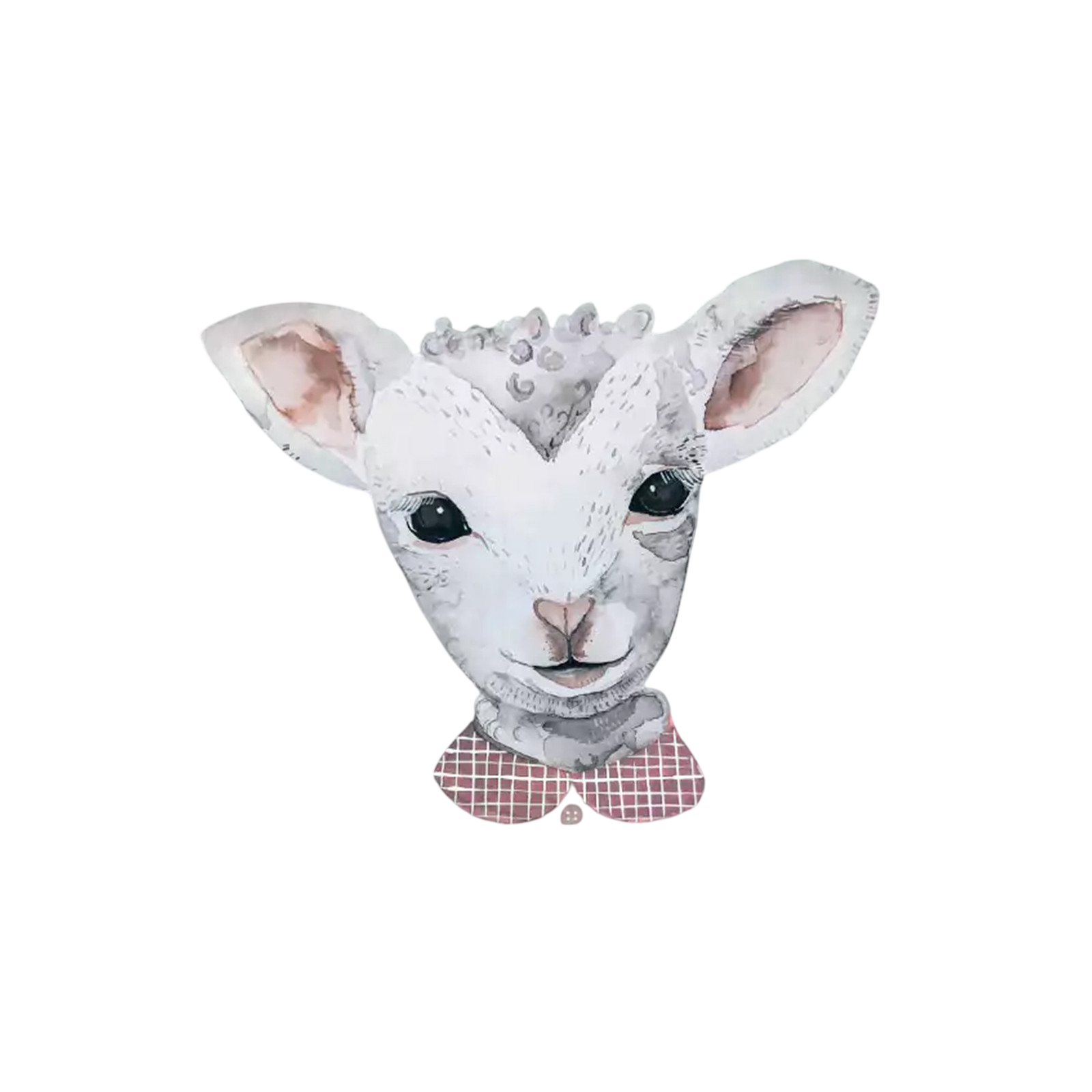 Carte postale Agneau