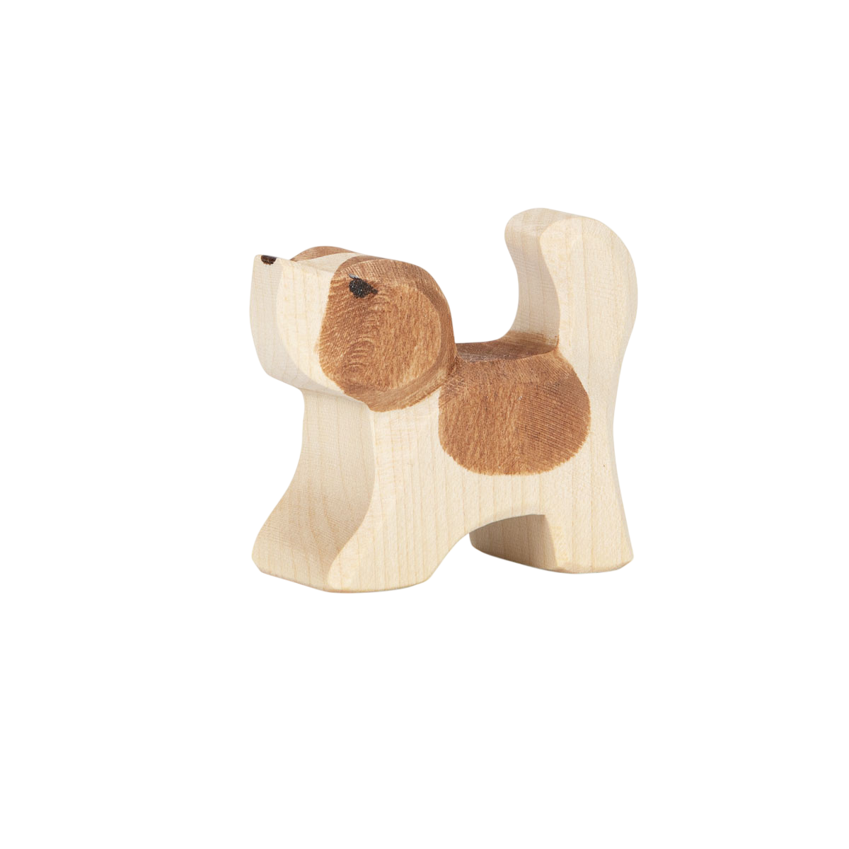 Ostheimer St. Bernard small head up