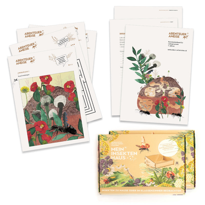 Klassensatz Ameise