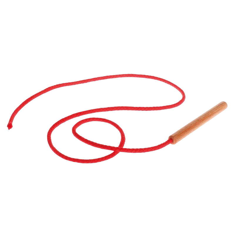 L'aiguille en bois de GRIMM