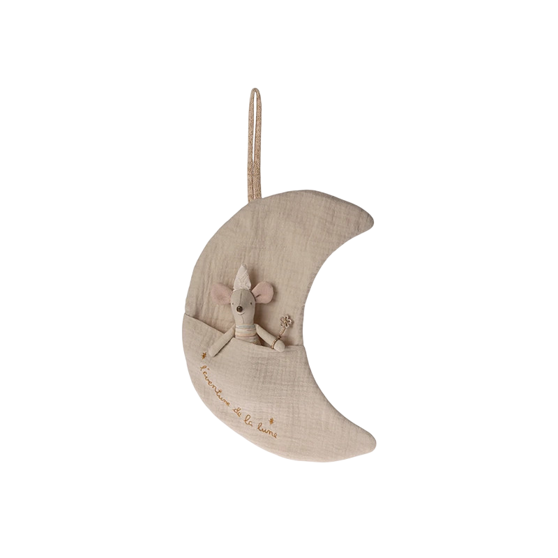 Moon L'aventure de la lune