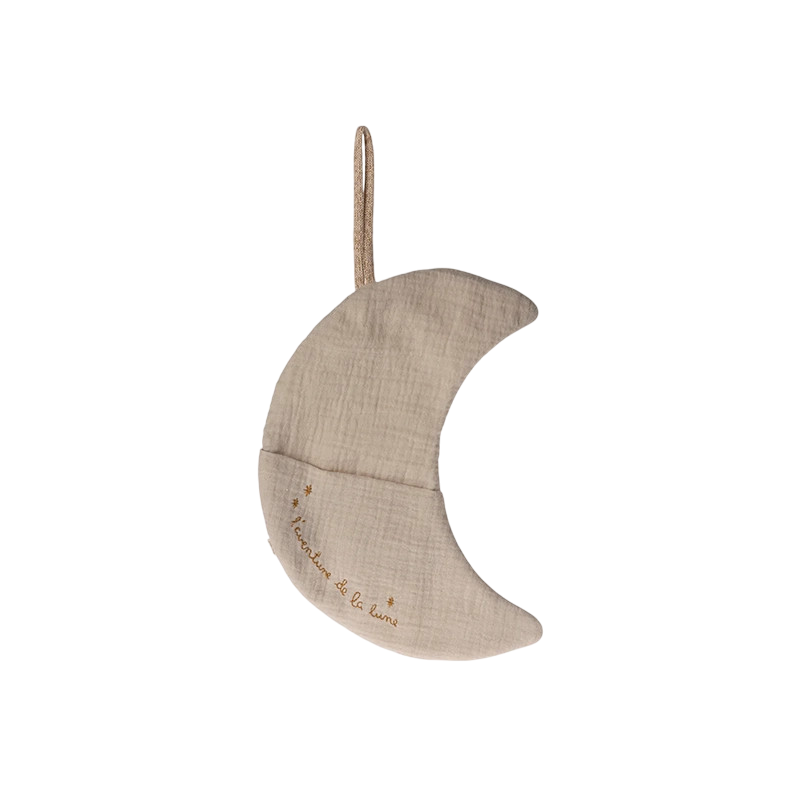 Moon L'aventure de la lune