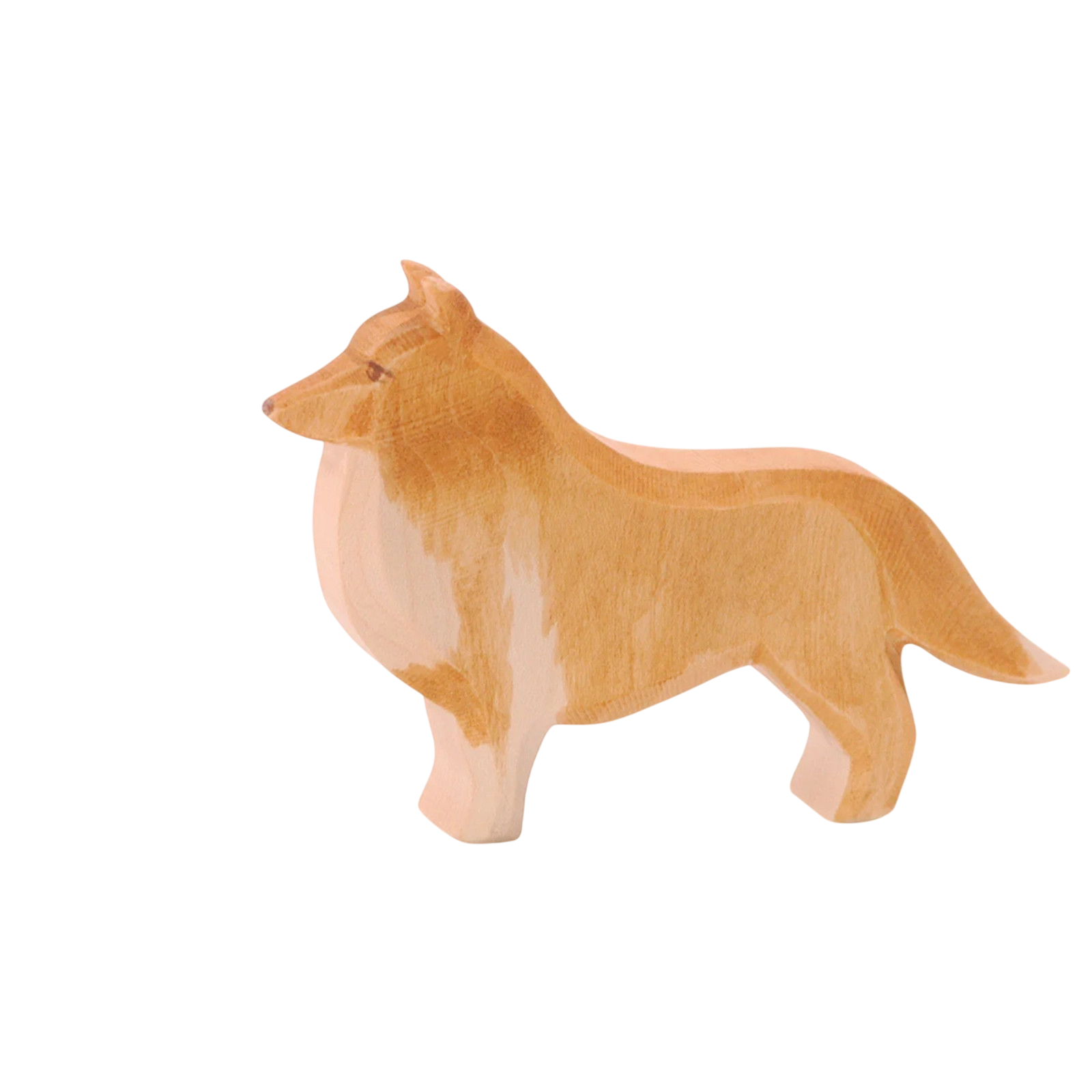 Collie d'Ostheim