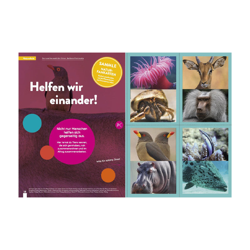 Kaleio No. 23: Girlfriends