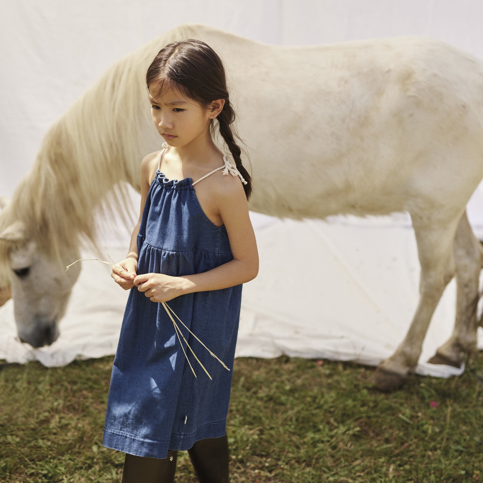 Leila Denim Blue dress