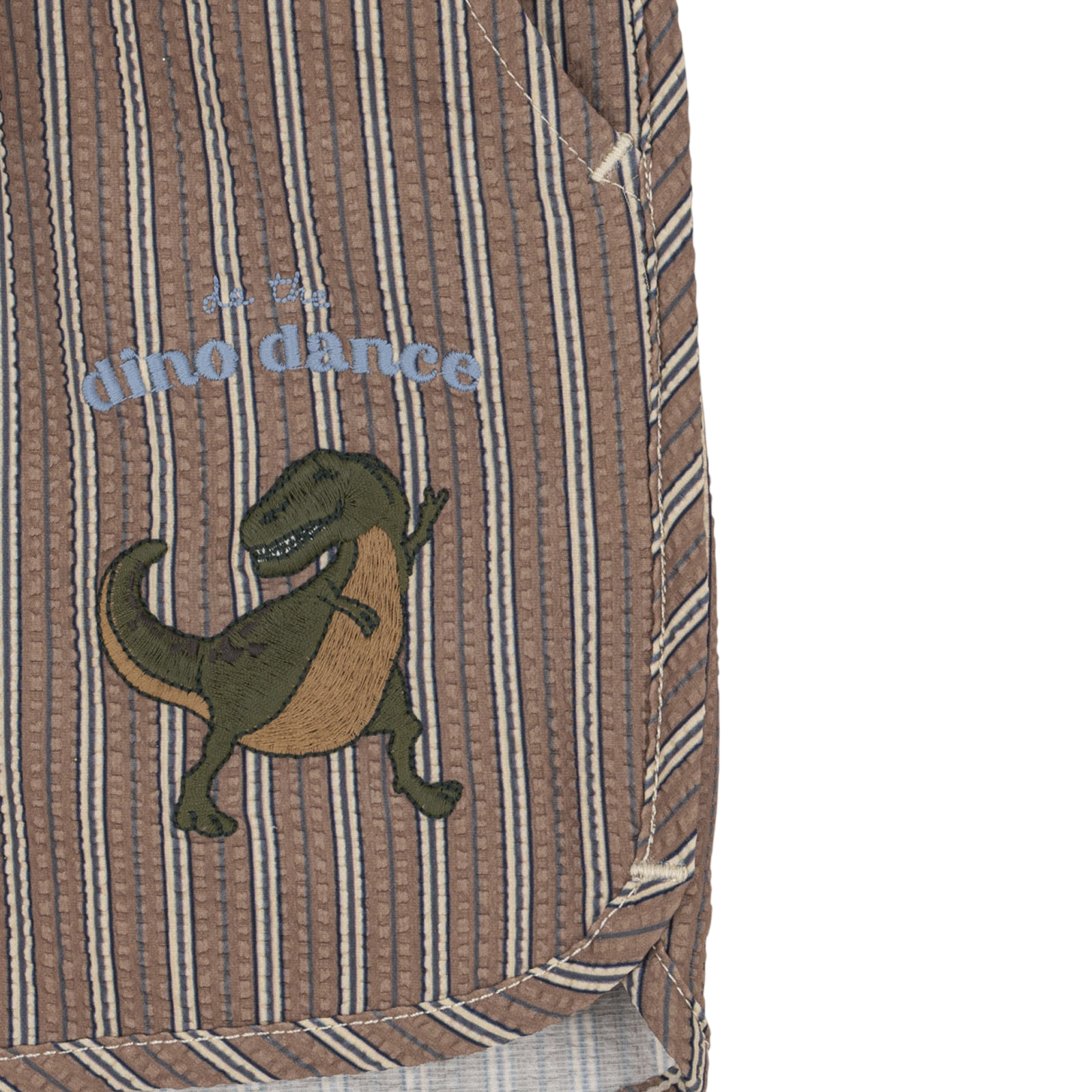 Seer Asnou Tigers Eye swim shorts