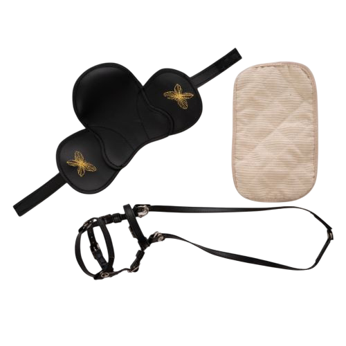 Équipement d'équitation pour mini-chevaux