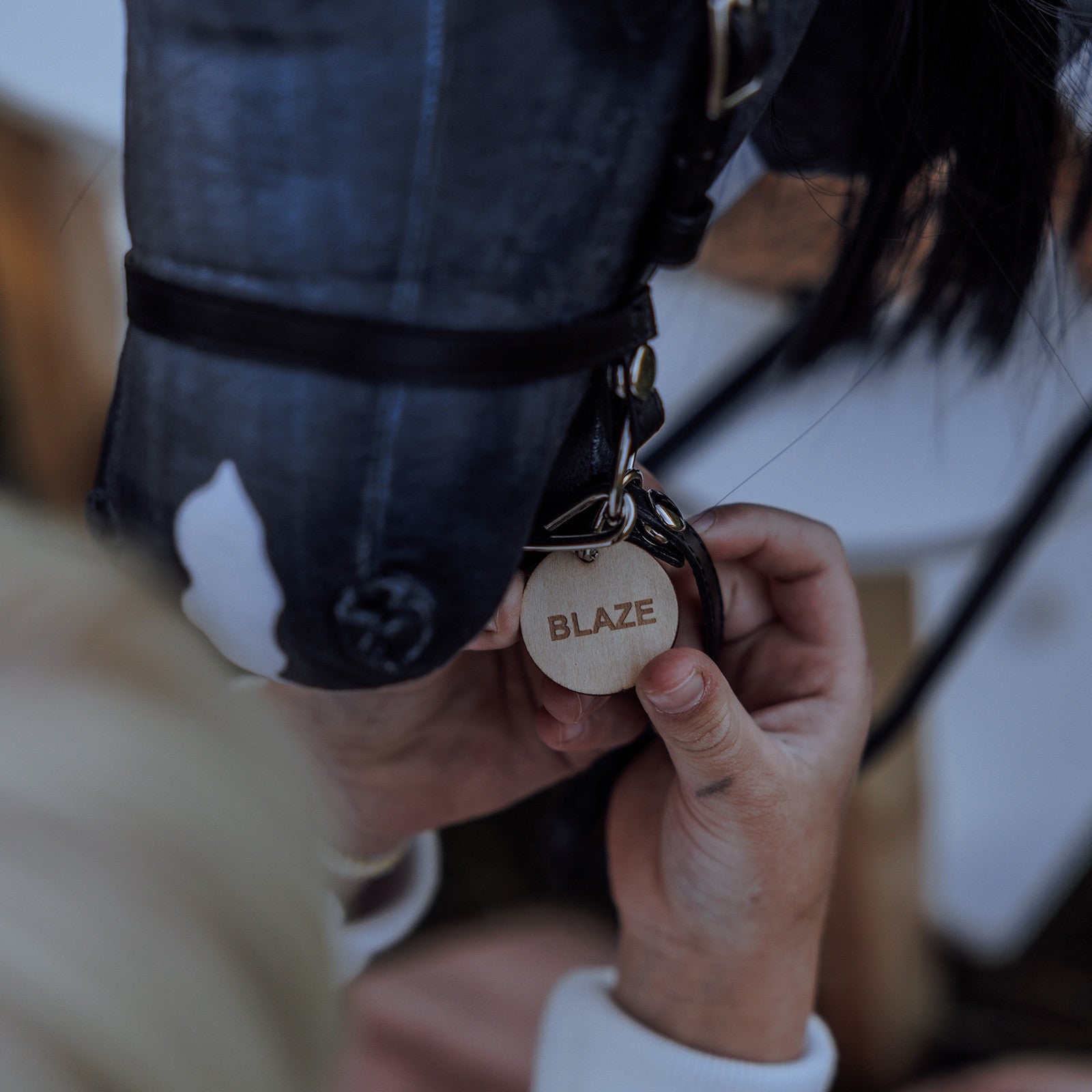 Steckenpferd Blaze Grau Schwarz