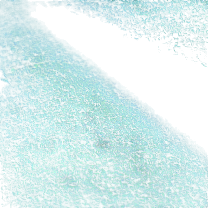 WESTLETON Coussin décoratif vert foncé 50x50 cm