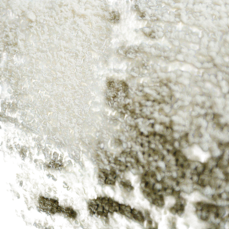 WESTLETON Zierkissen sand 50x50 cm