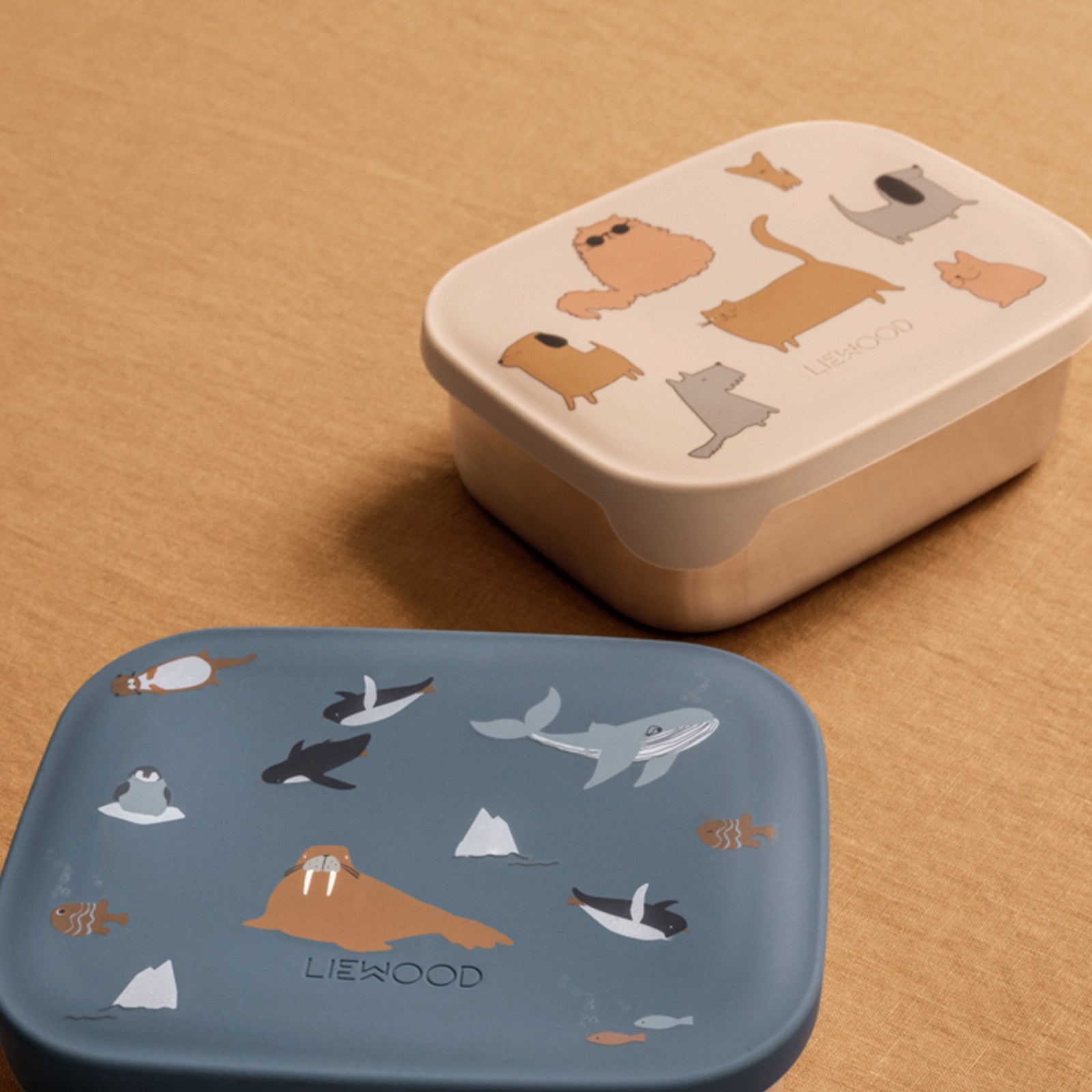 Lunchbox Arthur Imprimé Cats And Dogs Sandy