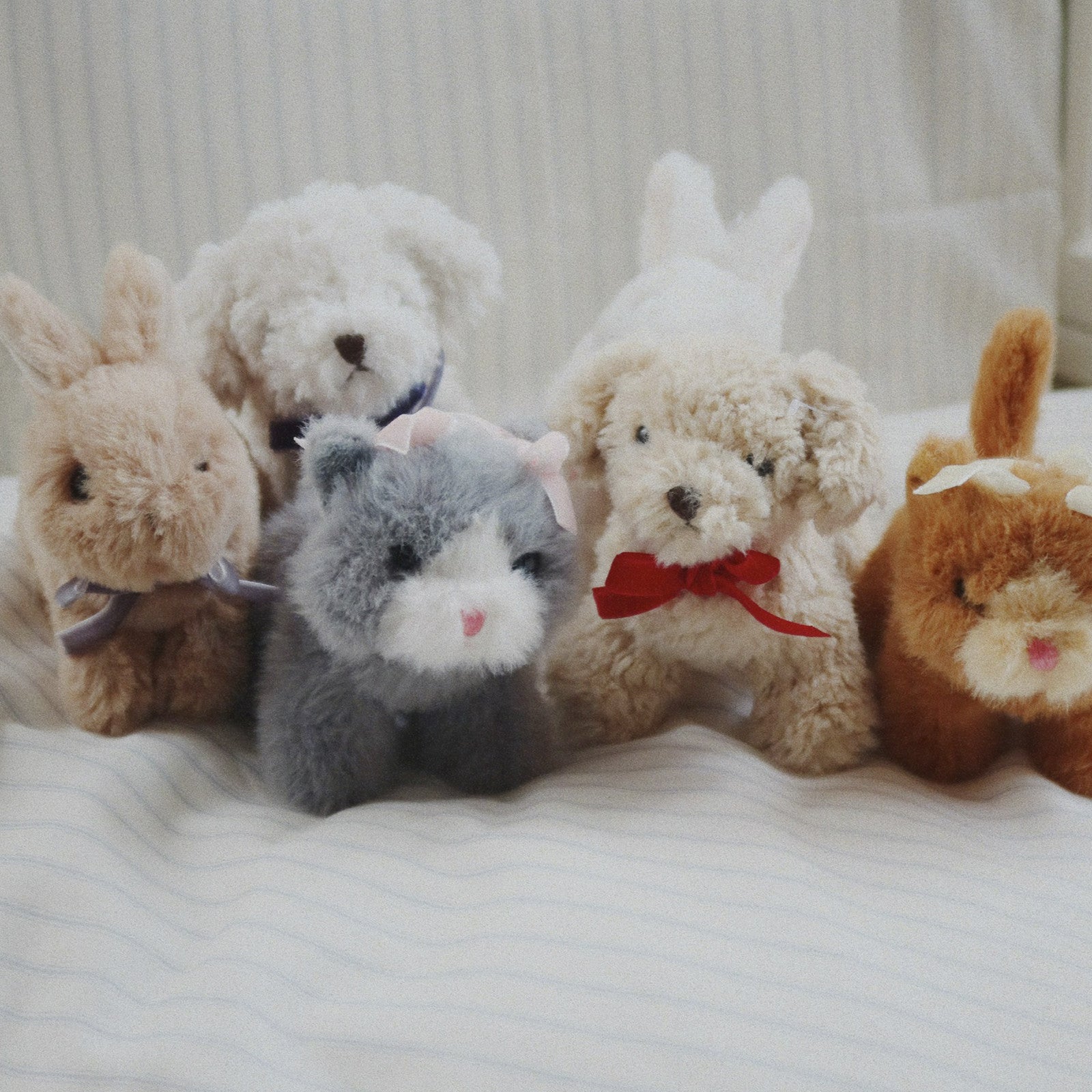 Chat en peluche Baby Animals Grey