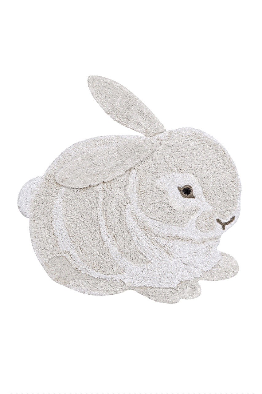 Carpet rabbit