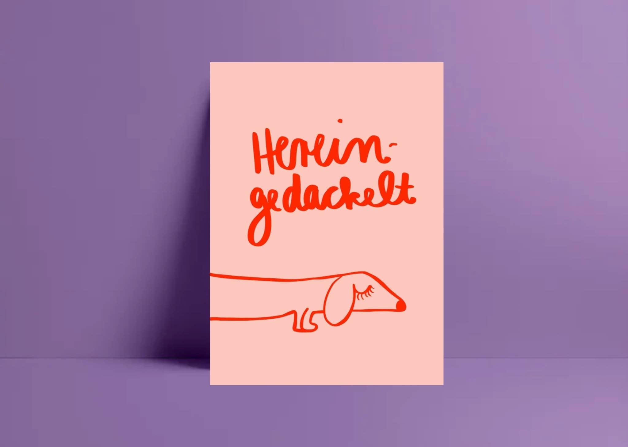 Postkarte *Hereingedackelt*