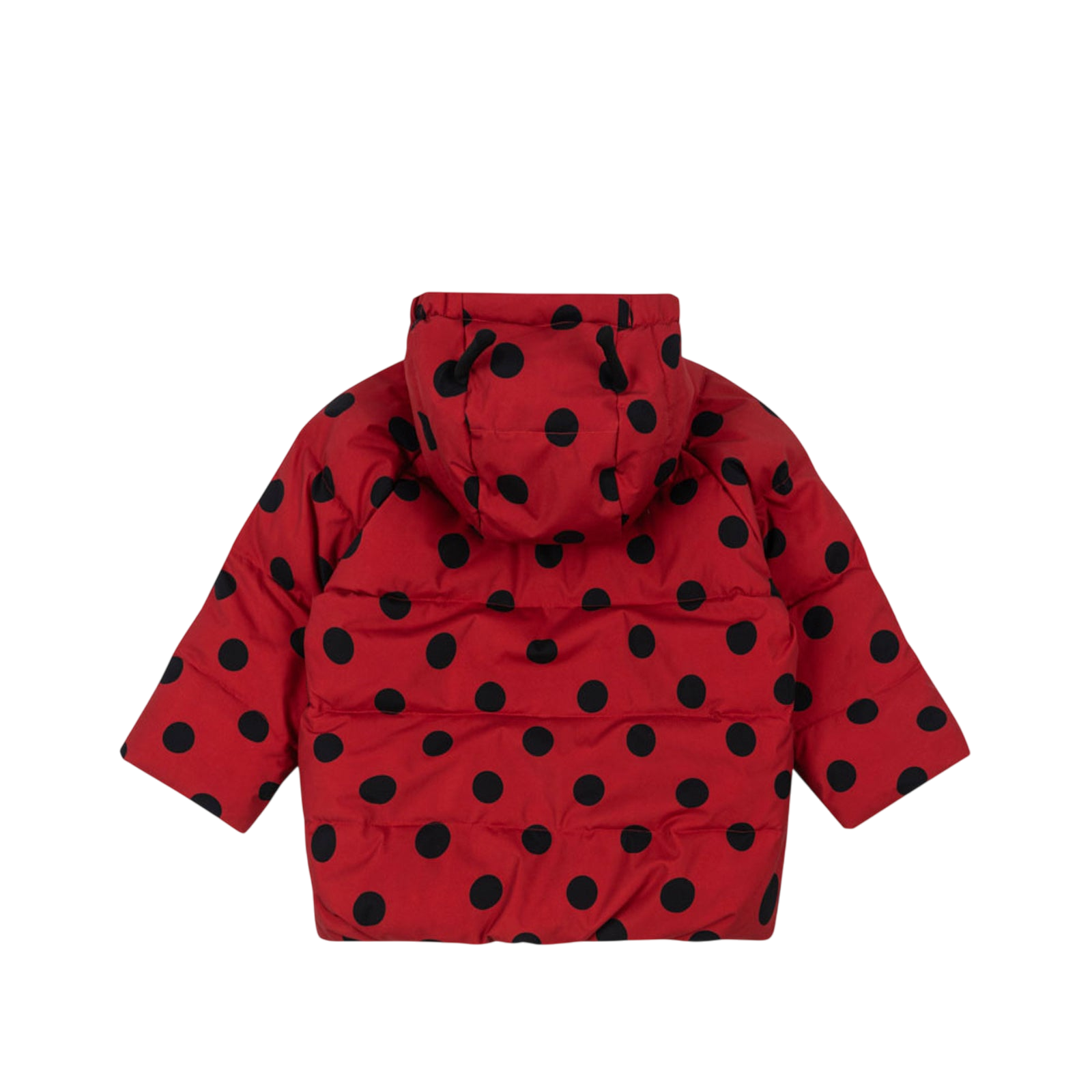 Nuka Ladybug Lady Dot winter jacket