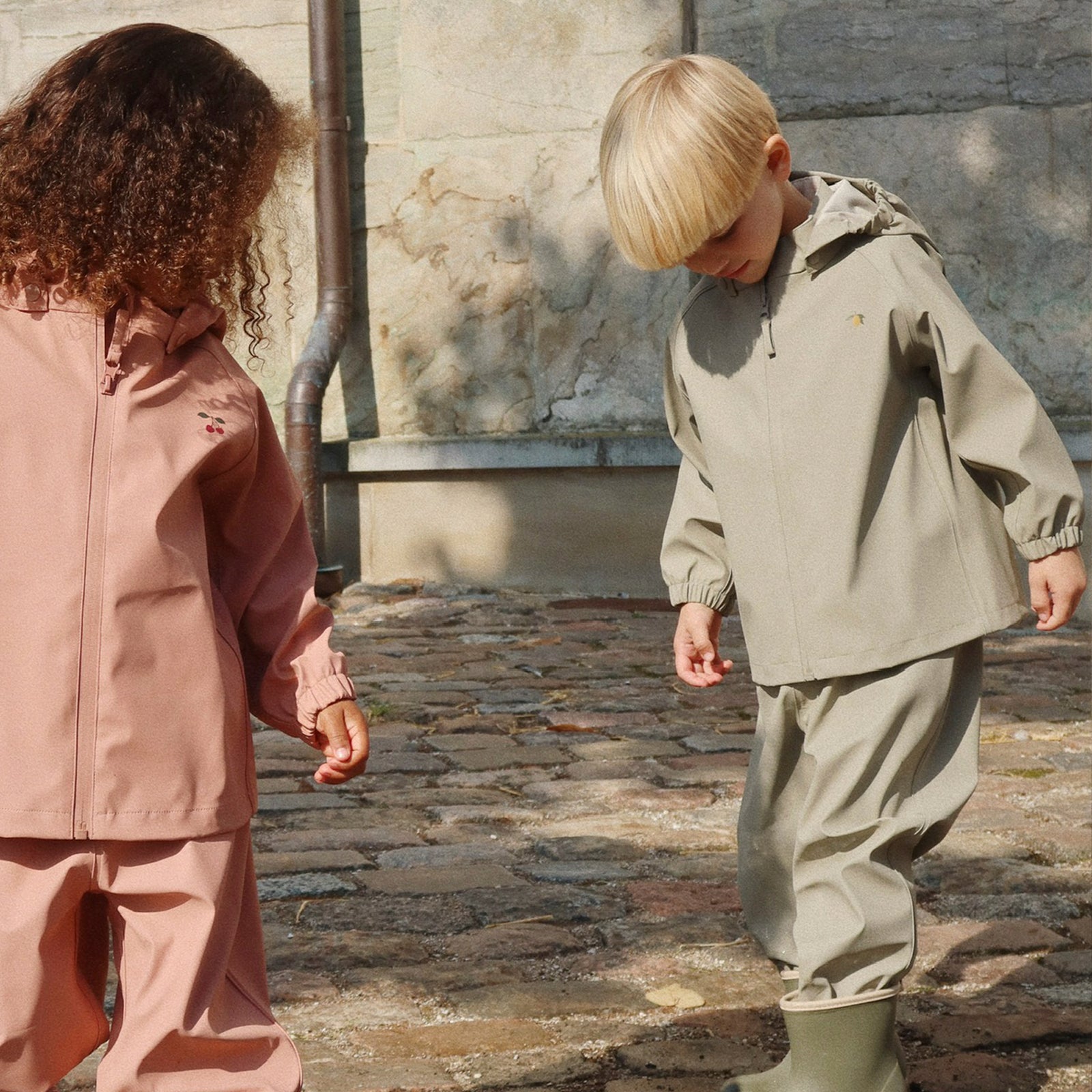 Rain set Plainy Laurel Oak