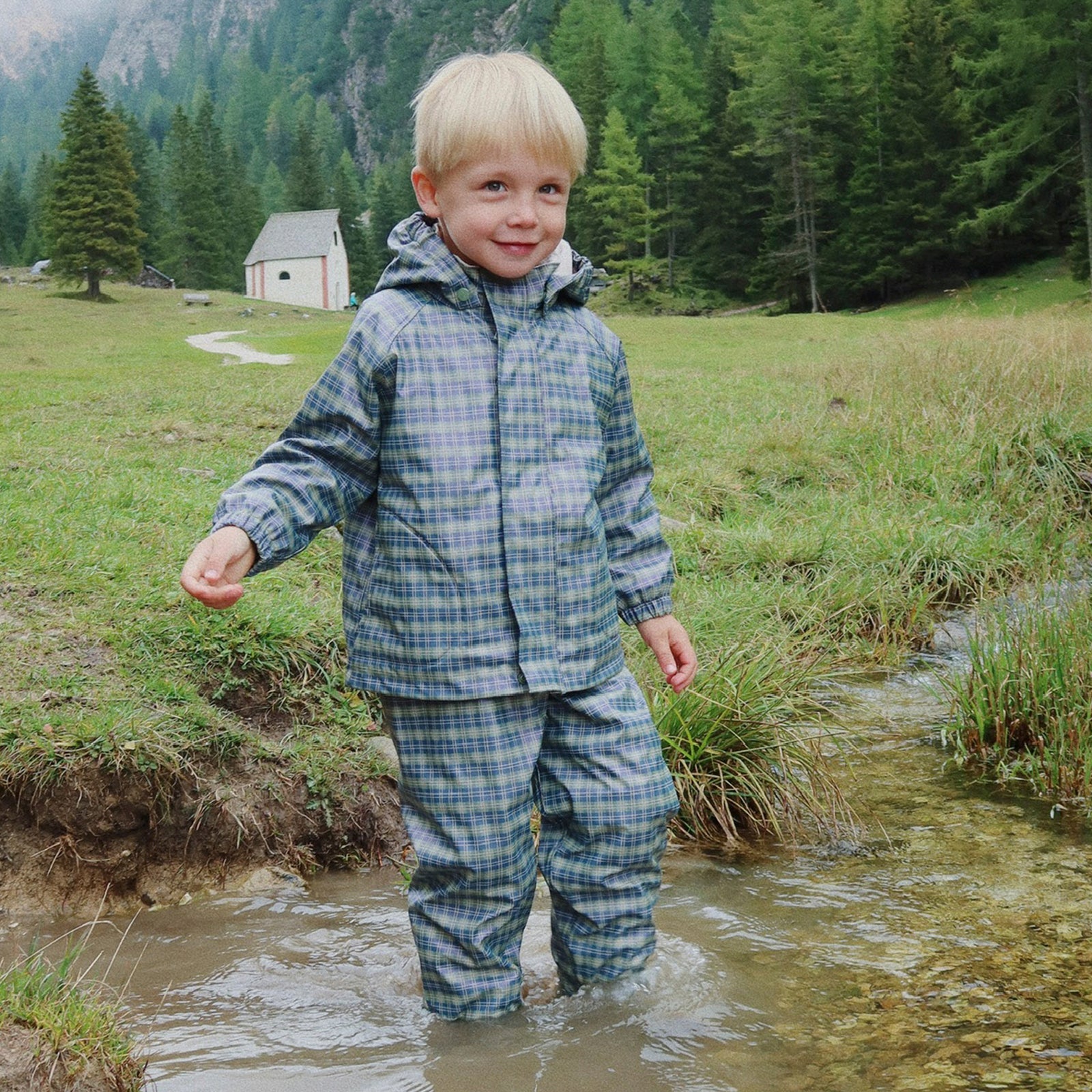 Rain set Palm Laurel Blue Check