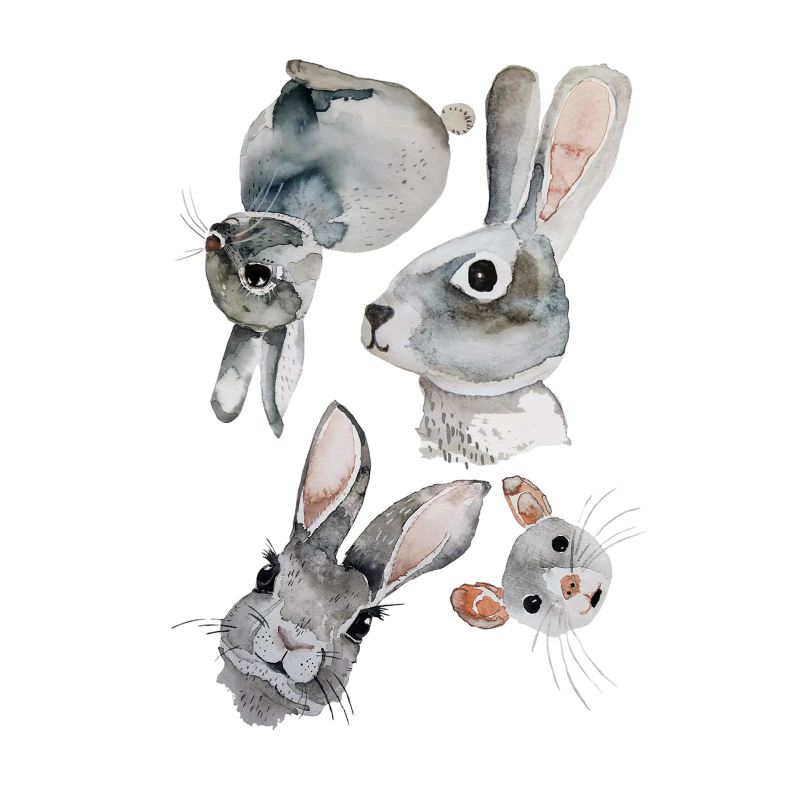 Images à repasser Lapin