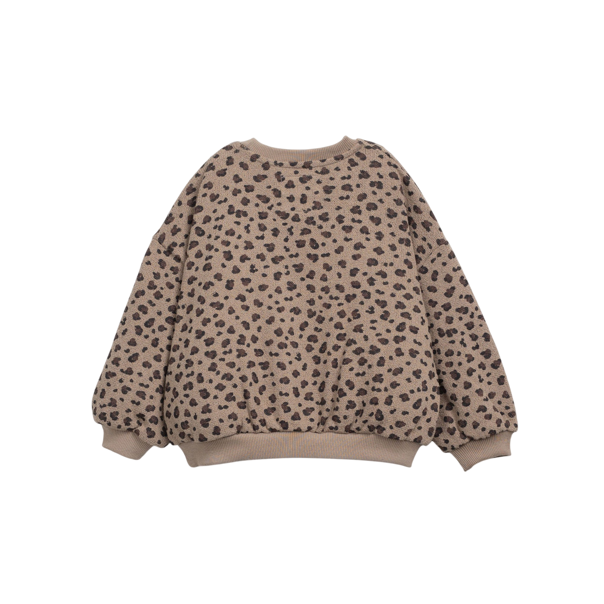 Ancestral Sweatshirt