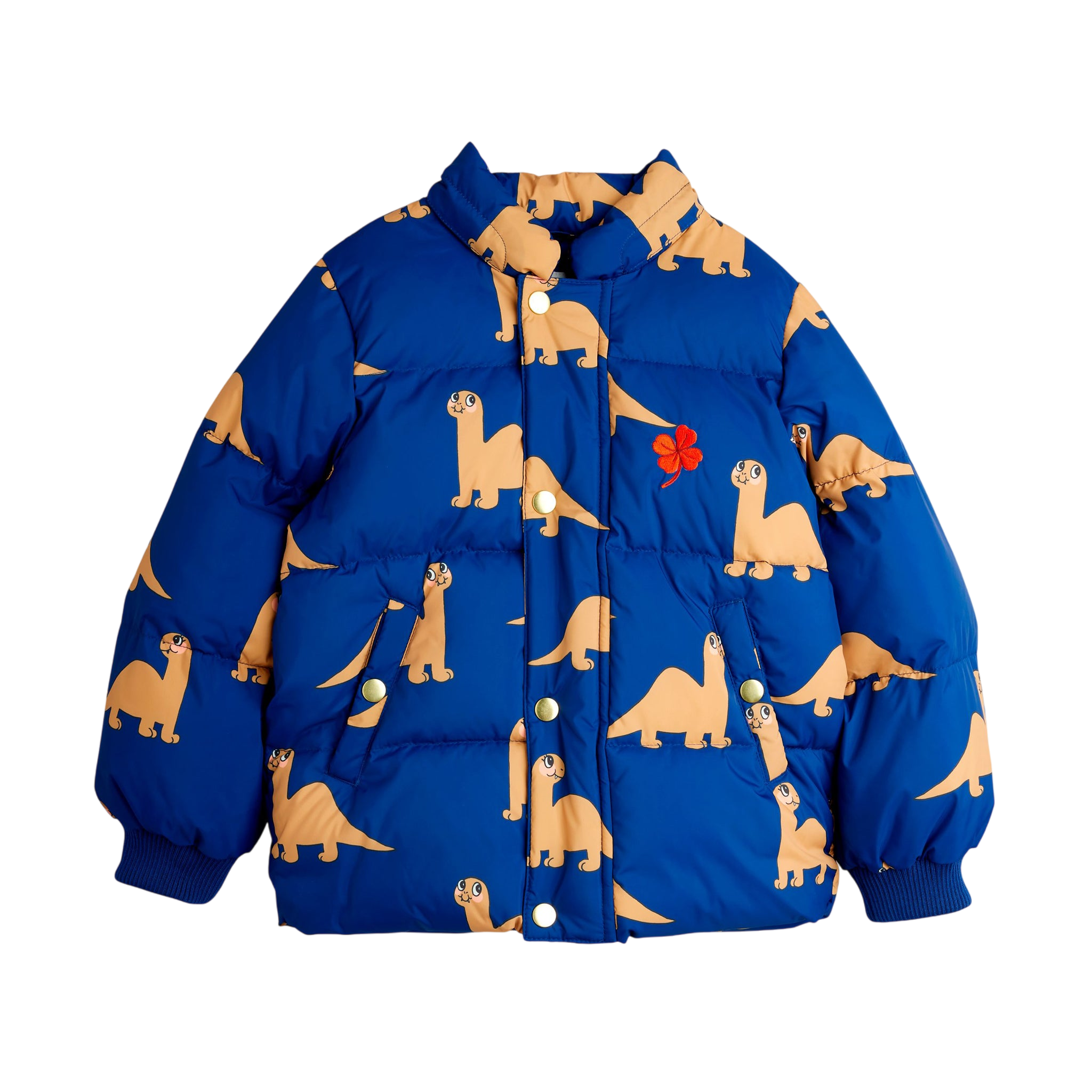 Dinos Blue winter jacket