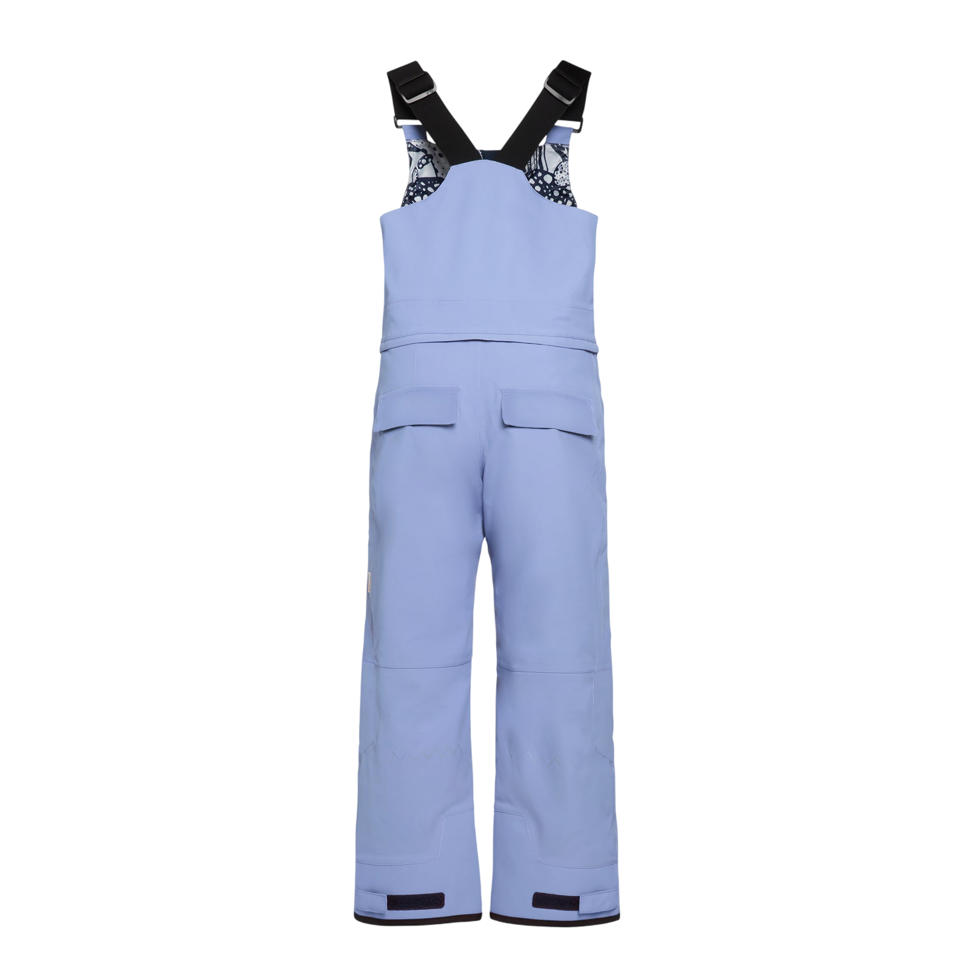 Pantalon de ski Corbet Purple blue