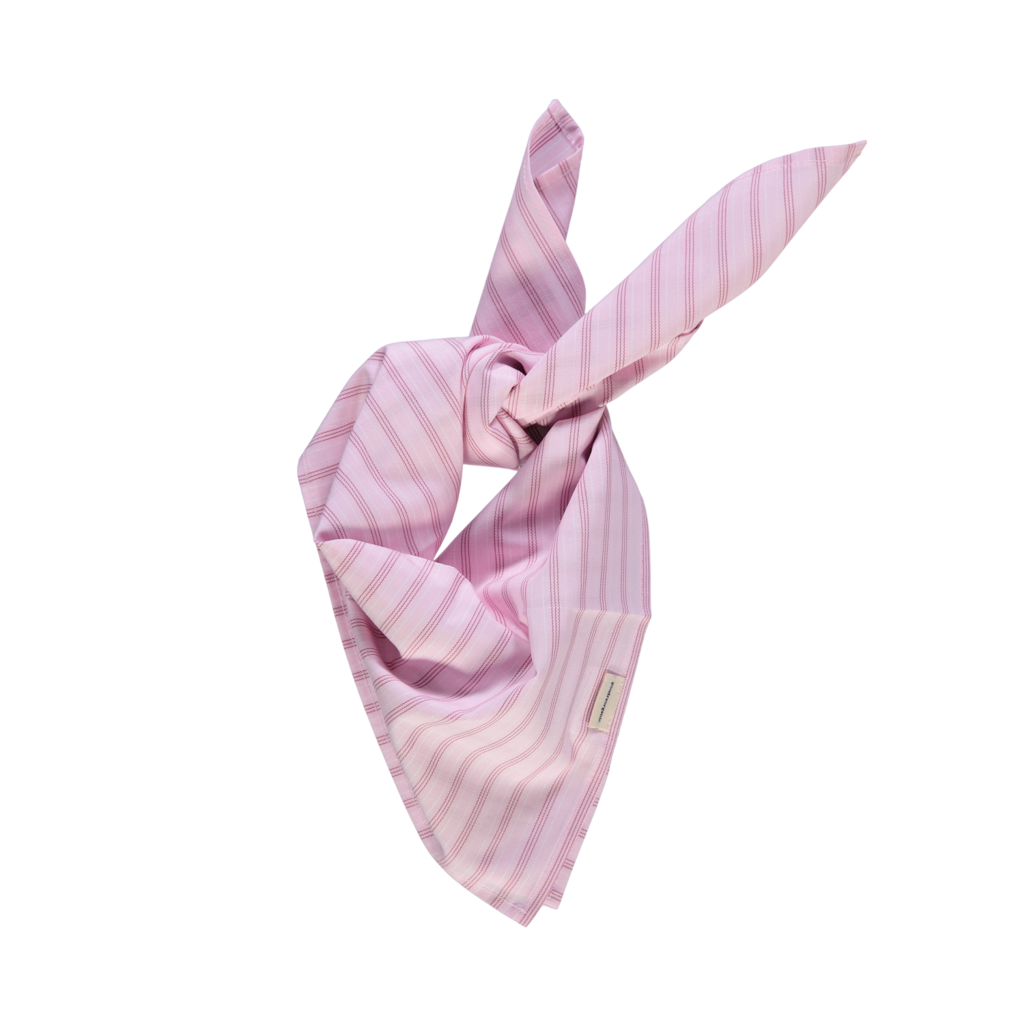 Bandana Rayures Roses