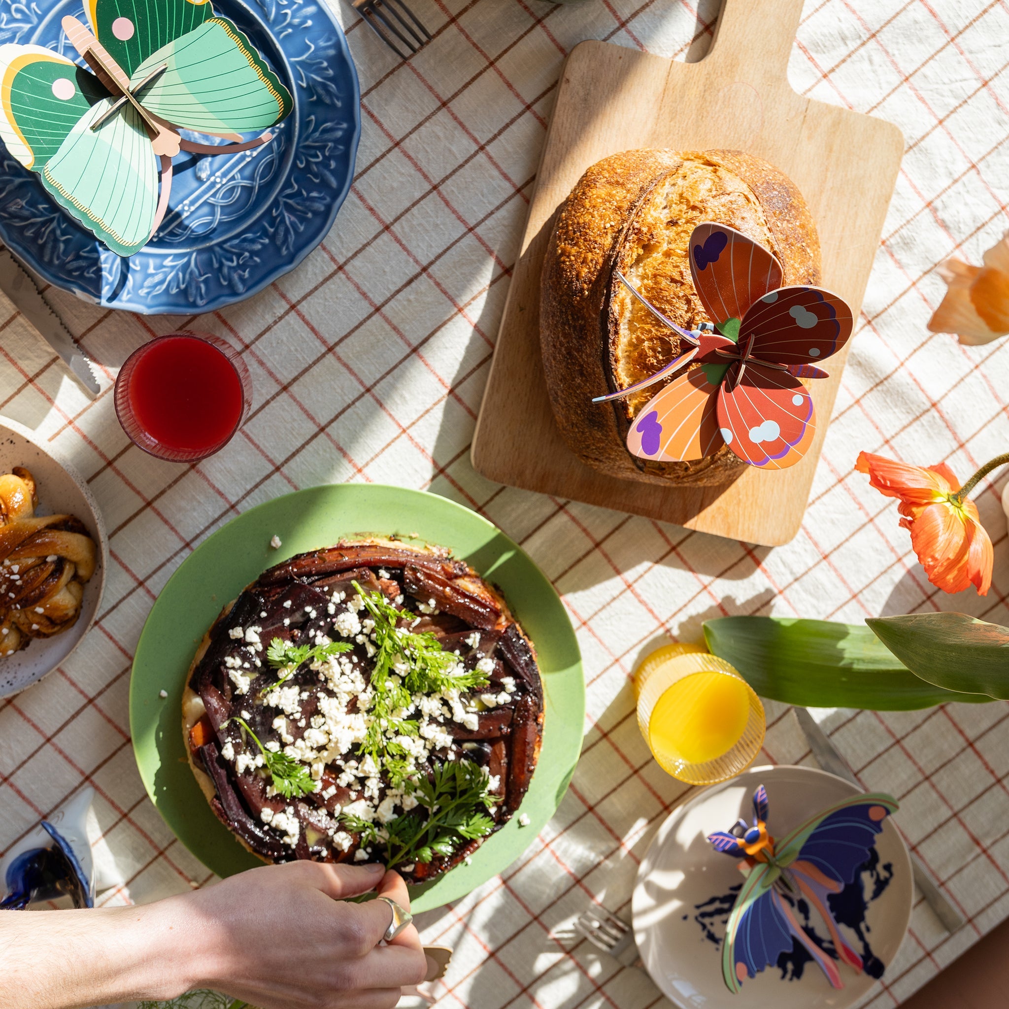 Kit de bricolage Papillon Fern Striped