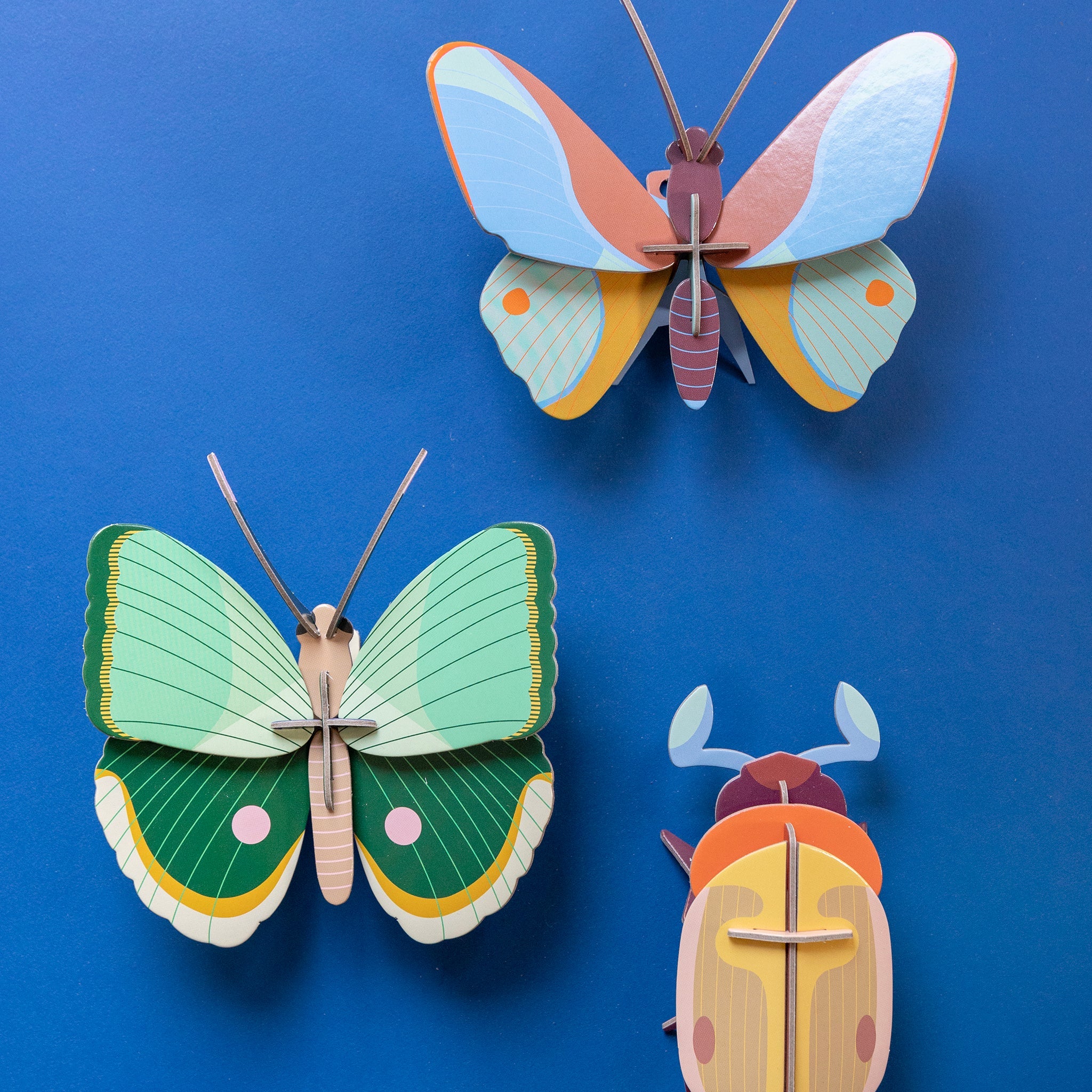 Kit de bricolage Papillon Fern Striped