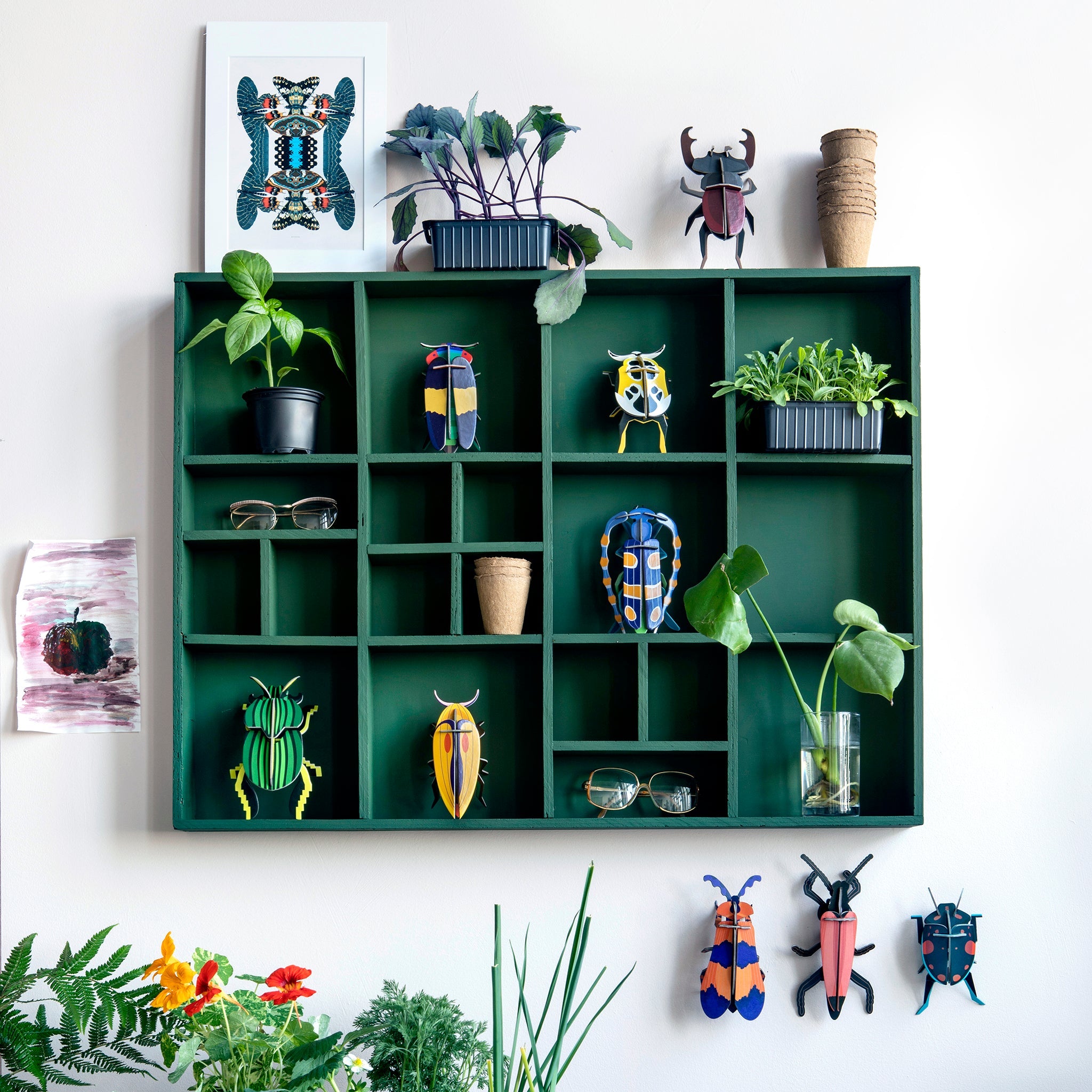 Rosalia beetle craft kit