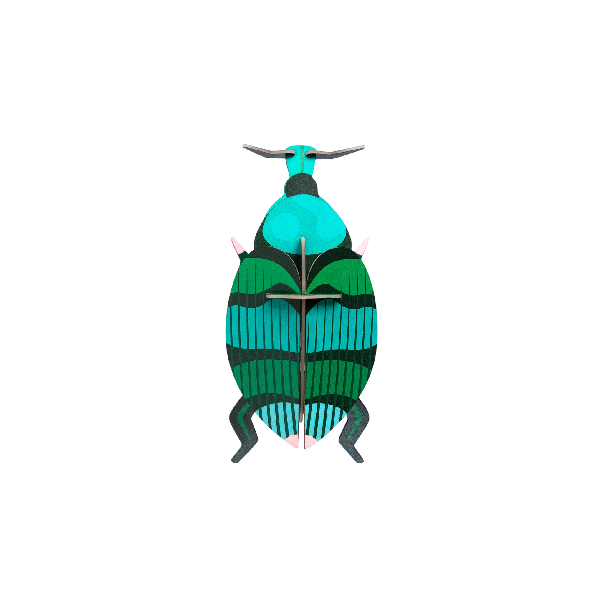 Kit de bricolage charançon