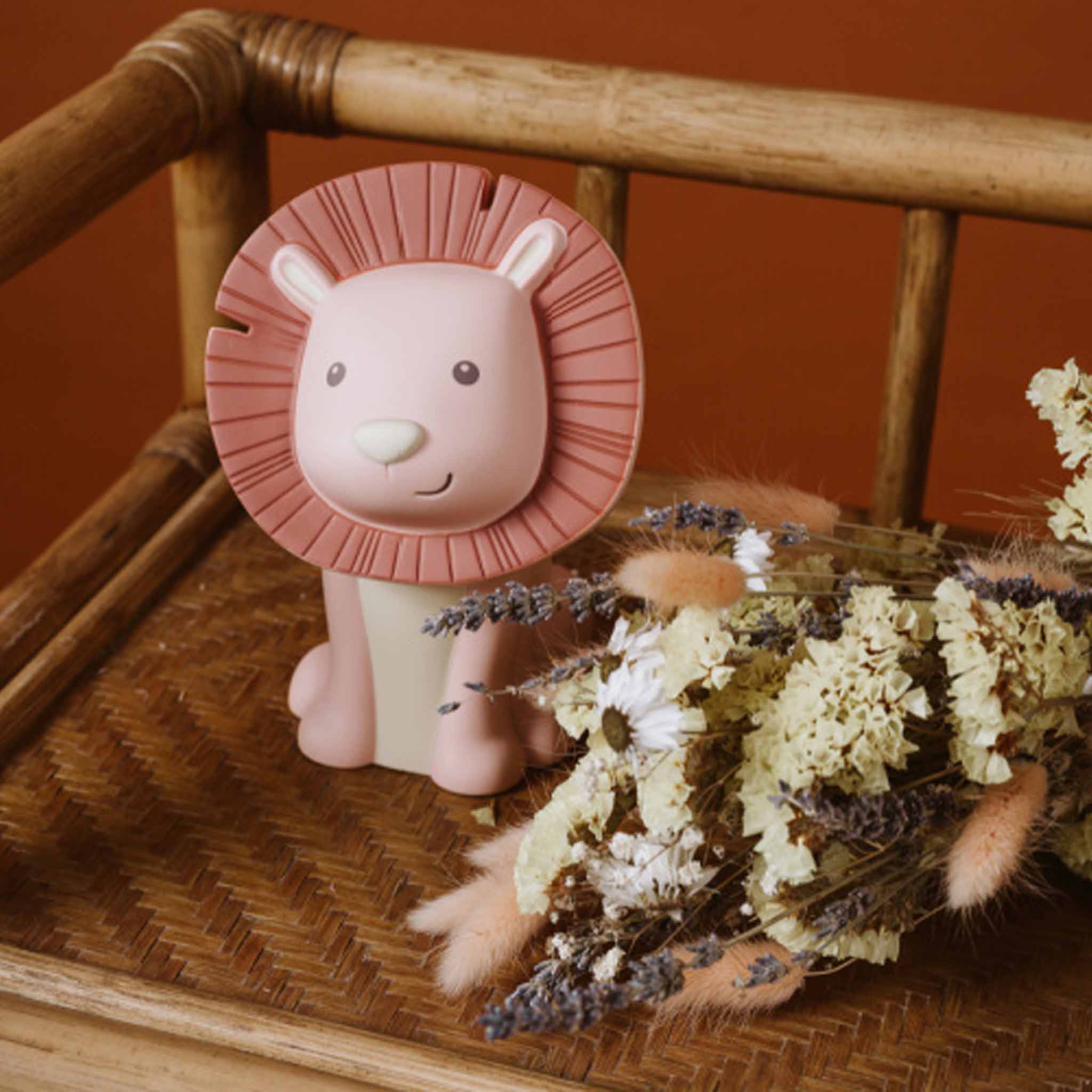 Money box Hakuna lion Magnolia