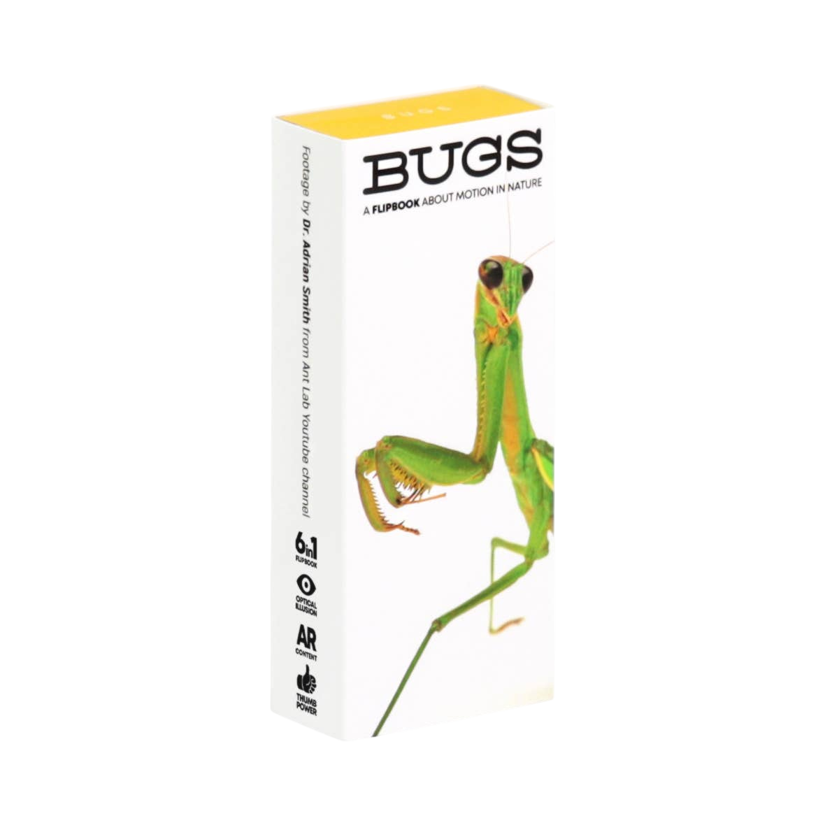 Flipbook Daumenkino "Bugs"