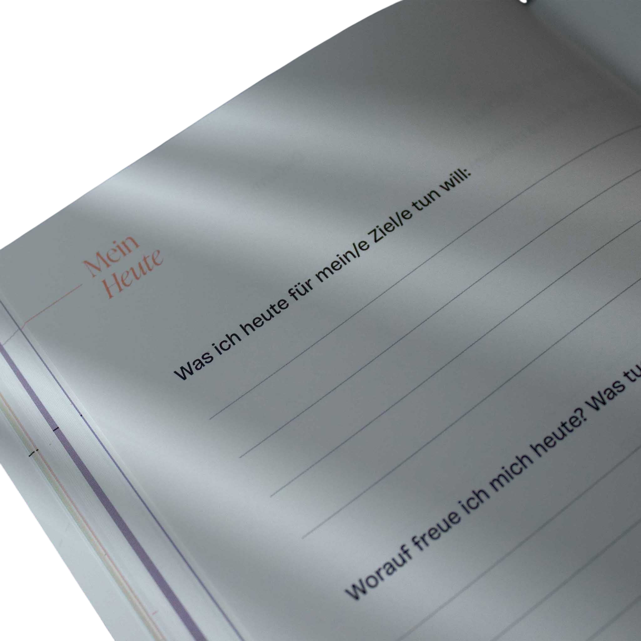 Gestion des ressources