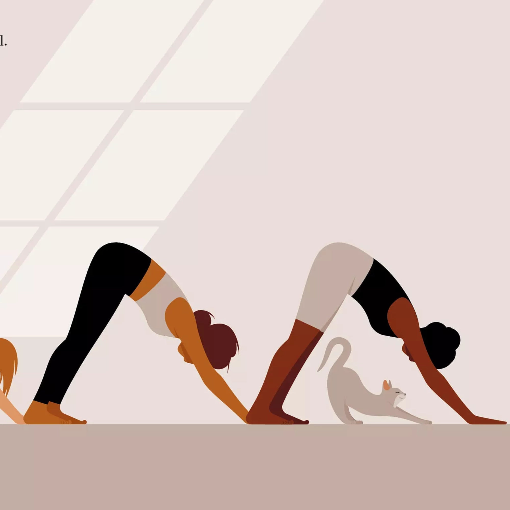 Buch Auf Wanderschaft