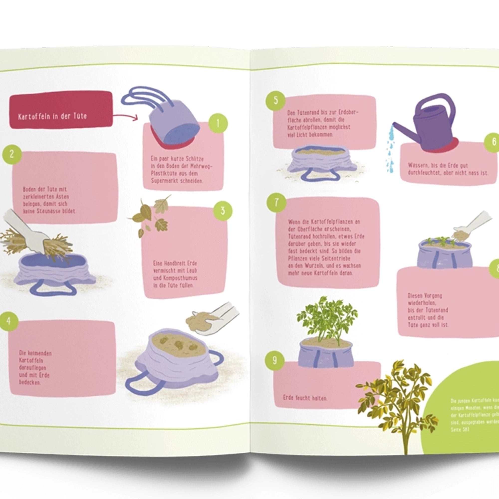 Book Sowing, collecting, worm compost