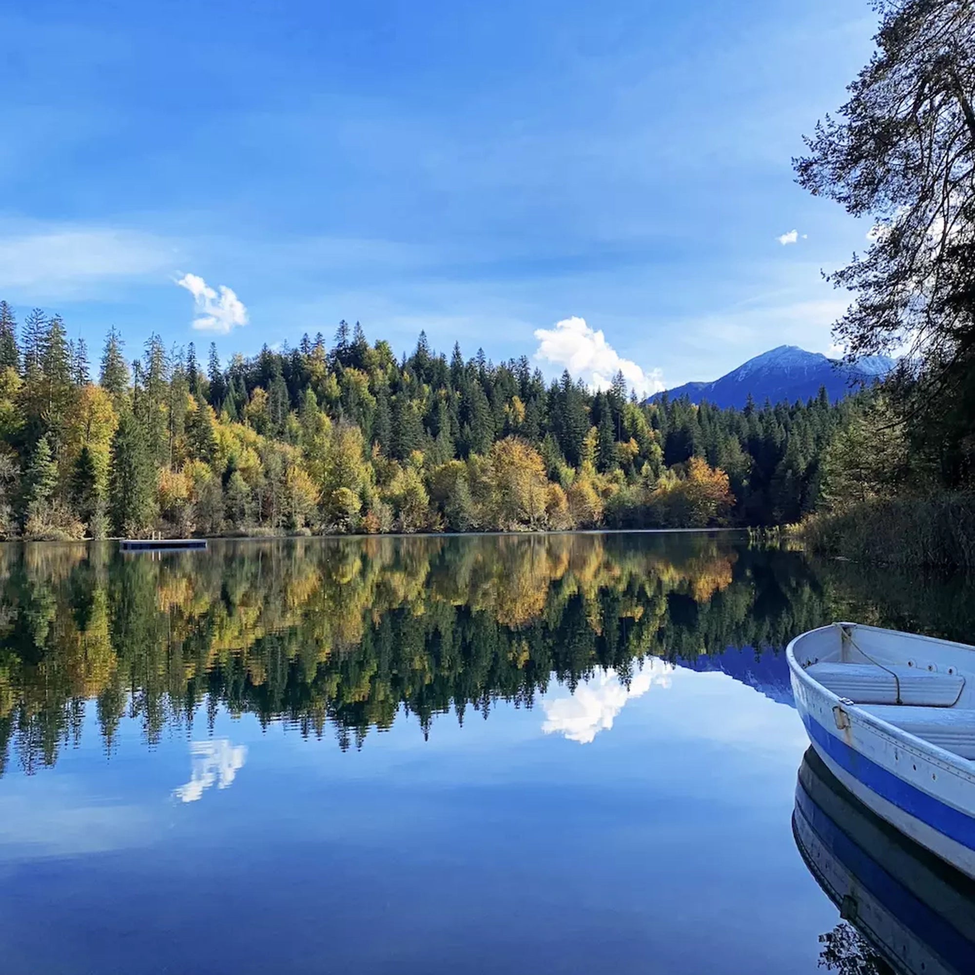 Buch Spa-Wandern Schweiz