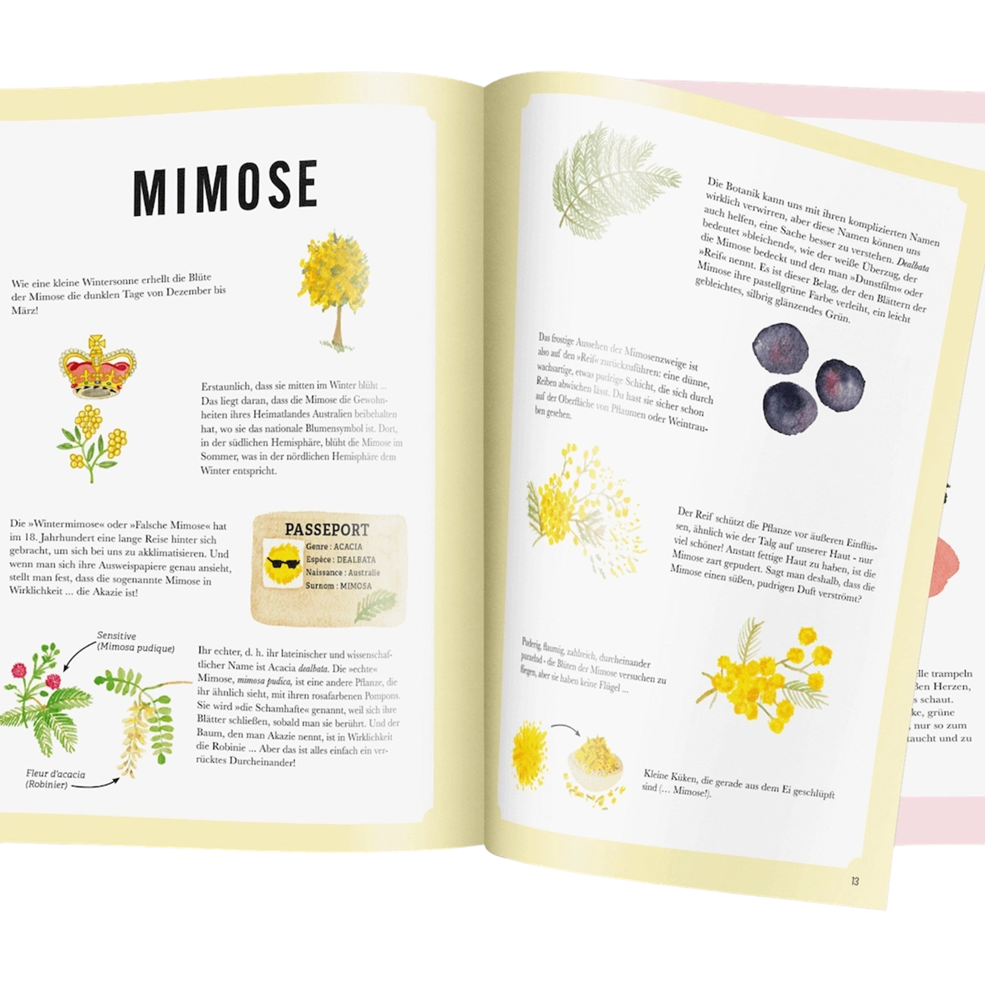 Buch Wenn Blumen kleine Monster wären