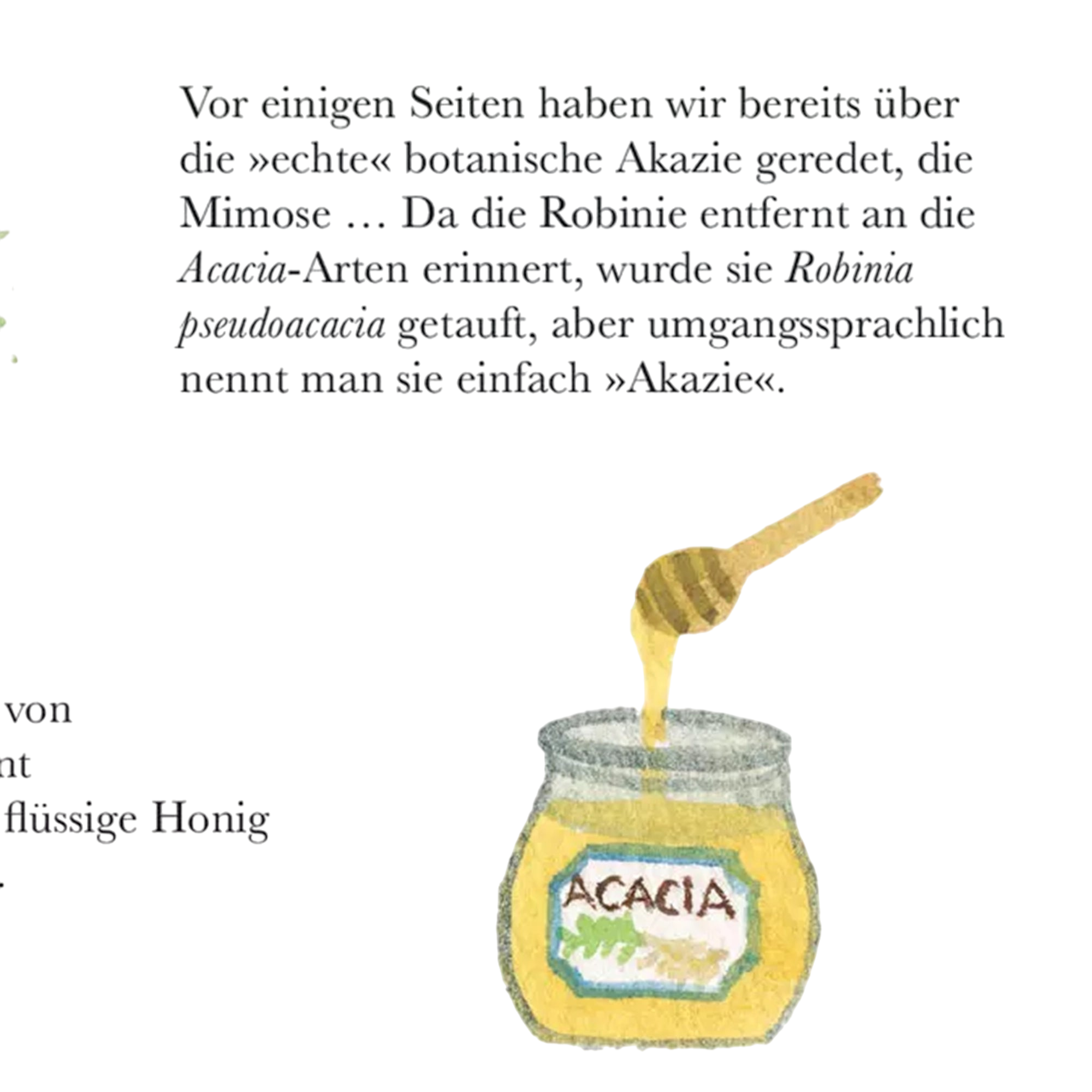 Buch Wenn Blumen kleine Monster wären